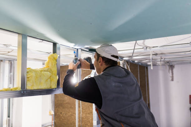 Best Attic Insulation Installation  in Pine Air, FL